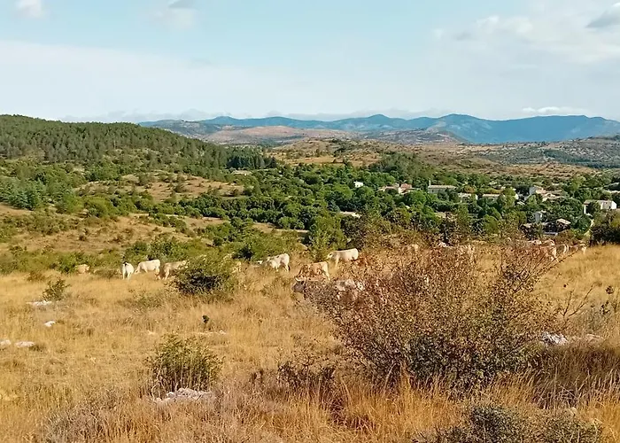 De Lise Nyaraló Blandas
